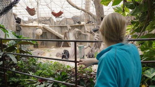 Dyrepasserne Season 11 Episode 13 - Episode 13