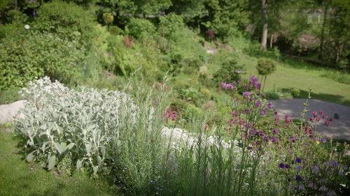 Hinter den Hecken Season 1 Episode 7 - A forest garden