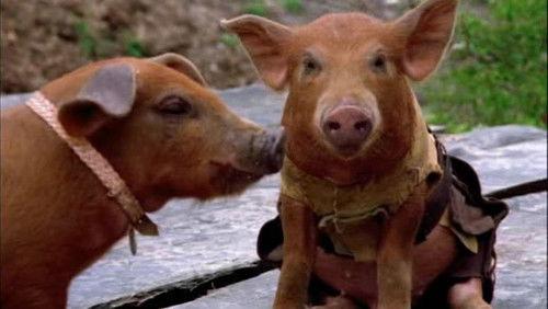 Hercules: The Legendary Journeys Season 4 Episode 16 - Porkules