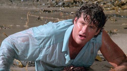 Baywatch Season 3 Episode 16 - Vacation (2)