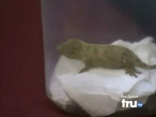 Hardcore Pawn Season 1 Episode 7 - Les' Big Gamble