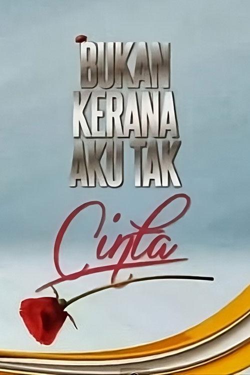 Bukan Kerana Aku Tak Cinta poster