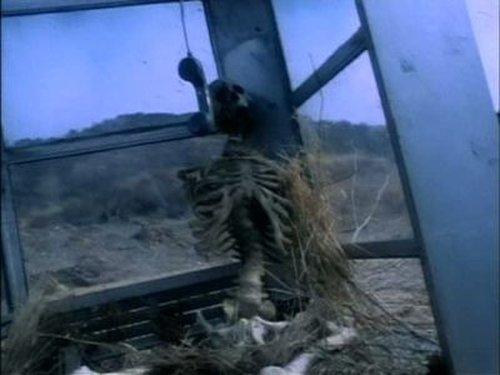 Dark Skies Season 1 Episode 7 - Ancient Future