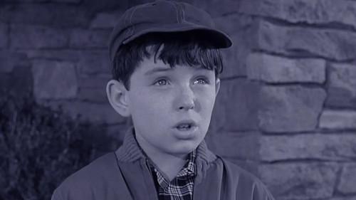 Leave It to Beaver Season 3 Episode 20 - Beaver and Andy