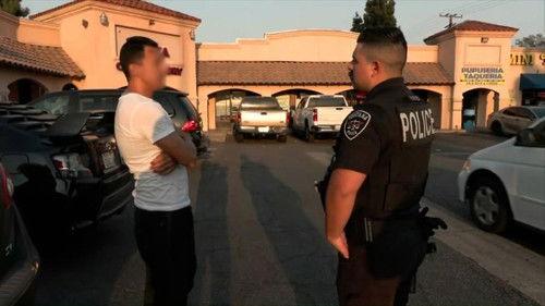 On Patrol: Live Season 3 Episode 15 - Gun Thrown in Pursuit