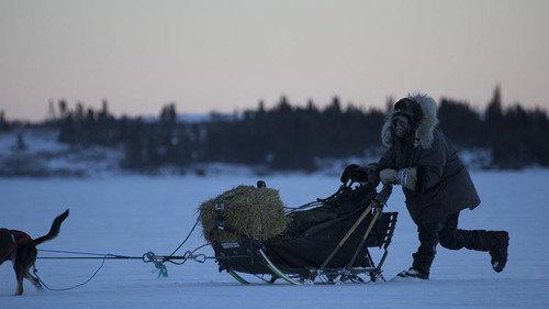 Life Below Zero Season 9 Episode 4 - Burn the Midnight Oil