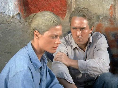 The Six Million Dollar Man Season 2 Episode 6 - Straight On 'til Morning