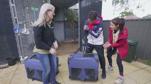 Here We Go Again Season 1 Episode 7 - Episode 7