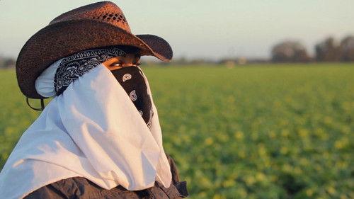 Frontline Season 31 Episode 11 - Rape in the Fields