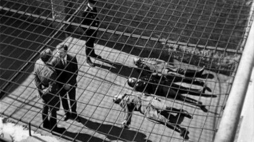 Seventeen Moments of Spring Season 1 Episode 4 - Episode 4