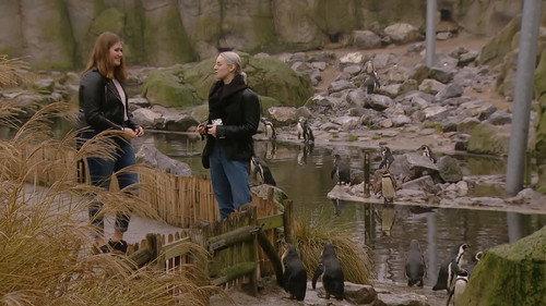 4eVeR Season 3 Episode 10 - Episode 10