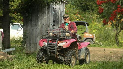 Alaska: The Last Frontier Season 10 Episode 9 - Backyard Prey