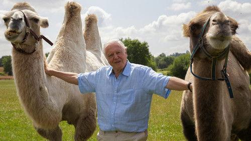 David Attenborough's Natural Curiosities Season 3 Episode 3 - Expandable Bodies