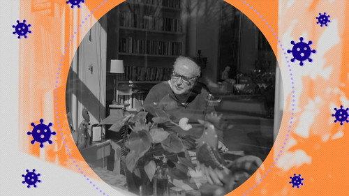 Zembla Season 27 Episode 11 - Oud, maar geen dor hout