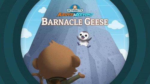 Octonauts: Above & Beyond Season 2 Episode 13 - Barnacle Geese