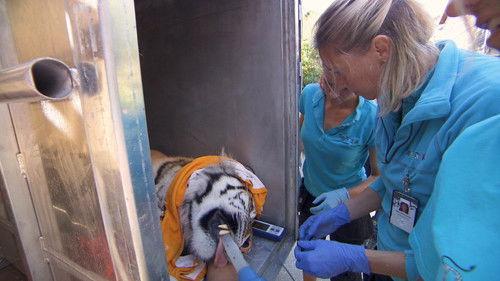 Dyrepasserne Season 8 Episode 2 - Episode 2