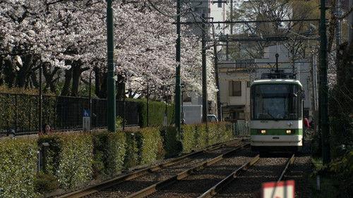 Shin Nihon Fudoki Season 11 Episode 12 - Episode 12