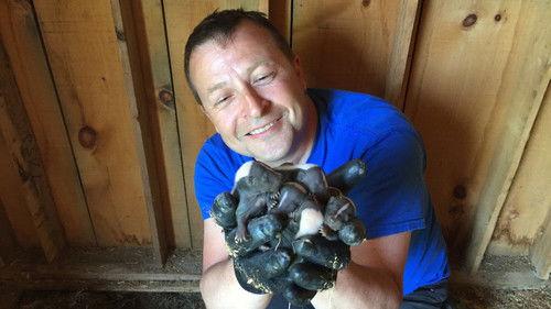 Louis and the Urban Jungle Season 1 Episode 6 - Episode 6