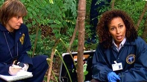 undefined Season 9 Episode 12 - Signature