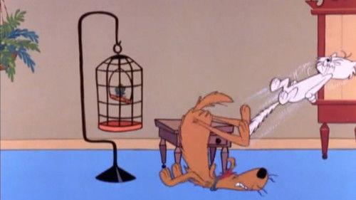 The Atom Ant Show Season 1 Episode 47 - The Bird Watcher