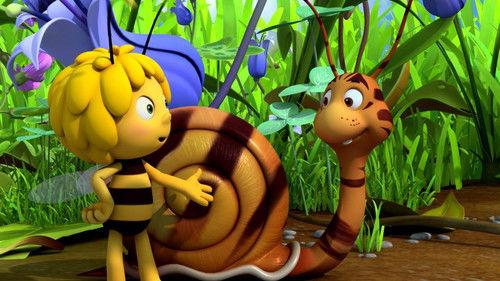 Maya the Bee Season 3 Episode 5 - The New Shelby