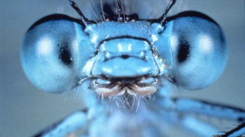 The South Bank Show Season 20 Episode 17 - Valery Gergiev