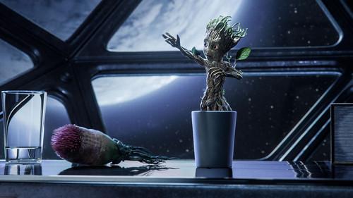 I Am Groot Season 1 Episode 1 - Groot's First Steps