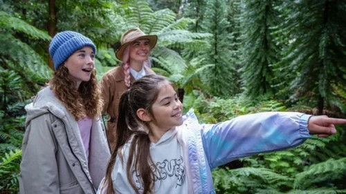 Gardening Australia Junior Season 3 Episode 4 - Dino Pine