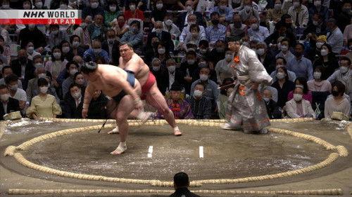 GRAND SUMO Highlights Season 11 Episode 3 - Day 3