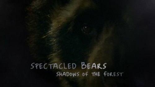 Natural World Season 27 Episode 14 - Spectacled Bears - Shadows Of The Forest