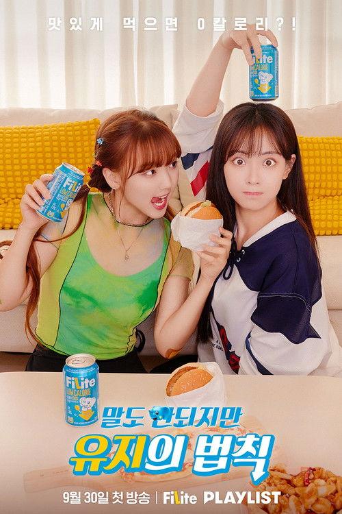 Ridiculous Diet Rules poster