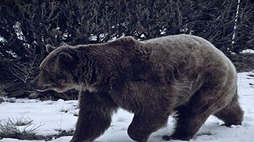 Mountain Men Season 3 Episode 1 - Winter's Wrath