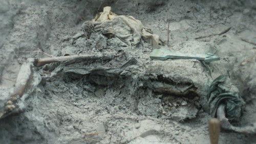 Buried In The Backyard Season 3 Episode 16 - Witness to Murder