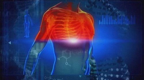 Through the Wormhole Season 2 Episode 8 - Can We Live Forever?