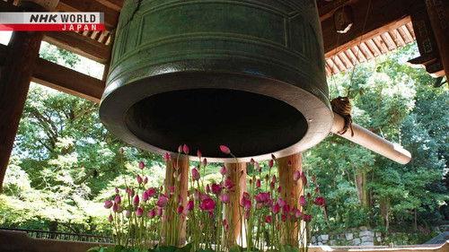 Core Kyoto Season 12 Episode 16 - Diversity in Plants: The Radiance of Life in Daily Life