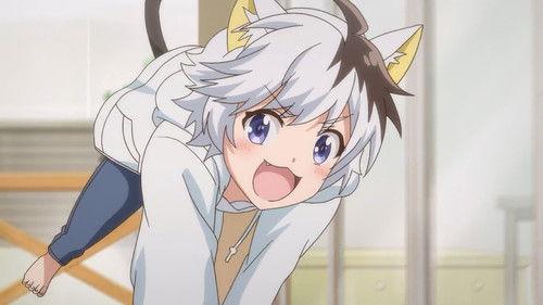 Uchitama?! Have You Seen My Tama? Season 1 Episode 17 - Tama Gets Kidnapped