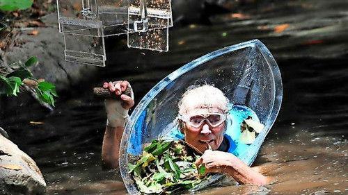 Ich bin ein Star – Holt mich hier raus! Season 13 Episode 12 - Tag 12: "Graus am See"