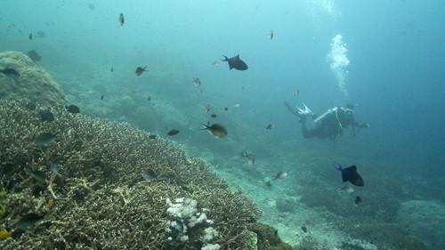 Les flots Season 1 Episode 19 - Episode 19