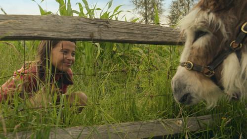 Lovely Little Farm Season 2 Episode 2 - Darling