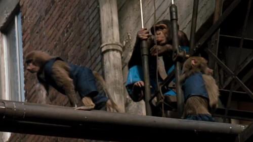 CHiPs Season 5 Episode 23 - Trained for Trouble