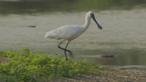 Unexplored Land Season 1 Episode 10 - Episode 10