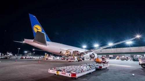 To Catch a Smuggler Season 3 Episode 3 - Bunked in a Trunk