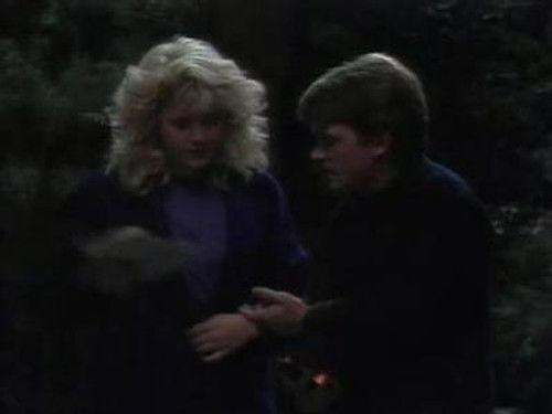 Family Ties Season 7 Episode 1 - It Happened One Night