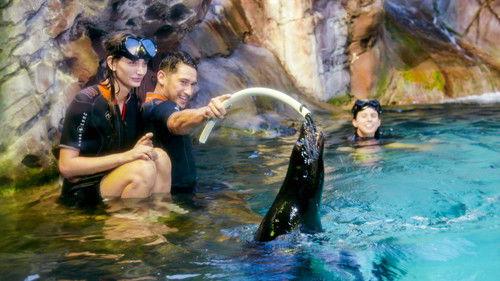 Instant Hotel Season 2 Episode 5 - Debbie & Justin (Buddina, QLD) - Revisited