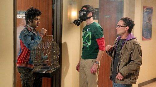 The Big Bang Theory Season 4 Episode 4 - The Hot Troll Deviation