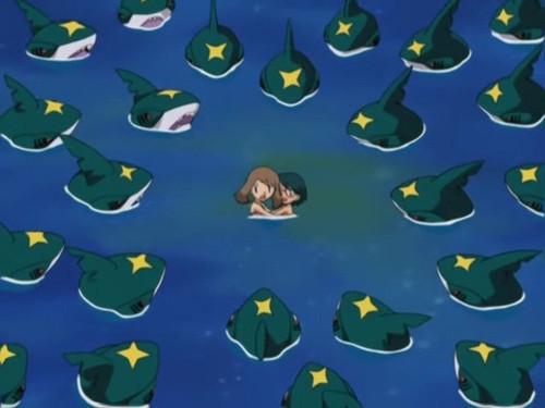 Pokémon Season 6 Episode 19 - Sharpedo Attack!