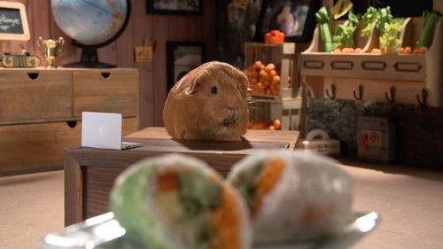 Cochon dingue Season 2 Episode 6 - Episode 6