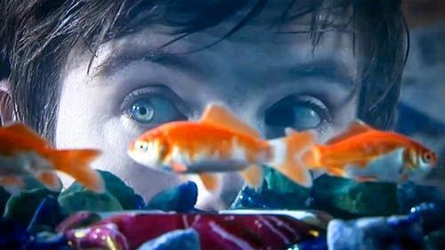 undefined Season 1 Episode 4 - Chris