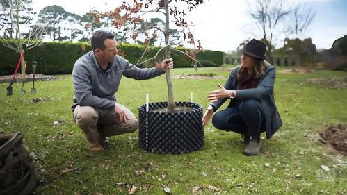 Gardening Australia Season 32 Episode 18 - Episode 18 Planting Trees, Native Climbers & Kiwi Prune