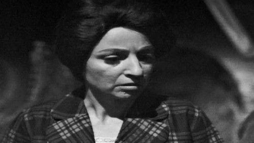 Dark Shadows Season 1 Episode 98 - DS-98